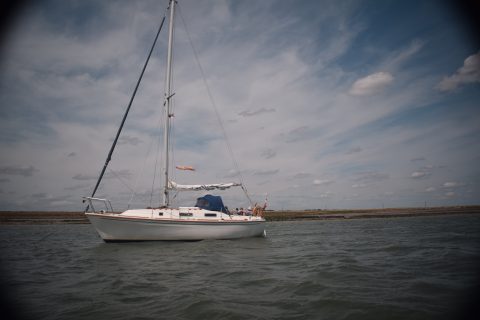 Commodore Sail Past